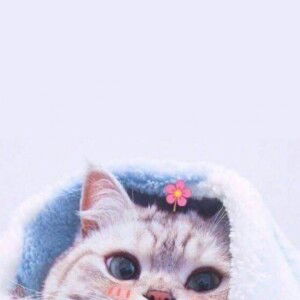 ตัว' เล็ก'กก profile icon