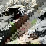 Lilis Wardani profile icon