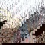 Icha S S profile icon