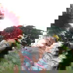 Rechelle Teodoro Ariem profile icon