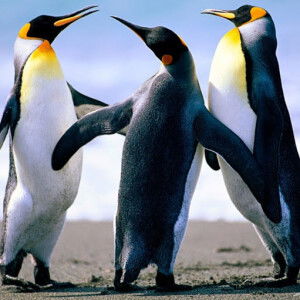 Wd_ratri profile icon