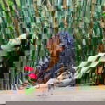 Rangsima Chanchabuak profile icon