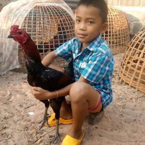 สุกัญญา พิศภิรมย์ profile icon