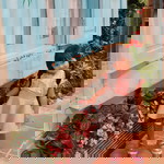 Ramikha _ profile icon