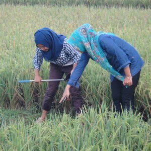 sri nomiyanti profile icon