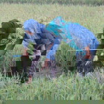 sri nomiyanti profile icon