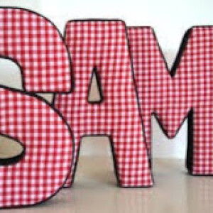 salome caguitla profile icon