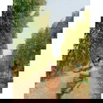 น้ำ' ตาล profile icon