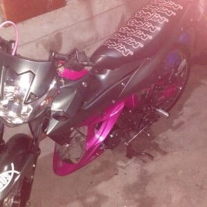 Ace Palmon profile icon