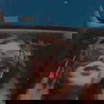 Lilis Aprilia profile icon