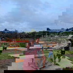 Joko Siswanto profile icon