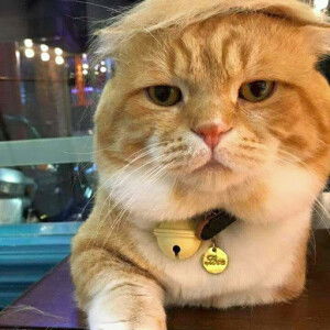 putri kapoer profile icon