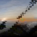 Mai Sutaro profile icon