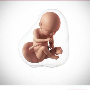 Mhen Onarimatla profile icon