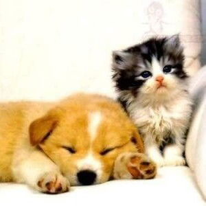 Jilyati Jennis profile icon