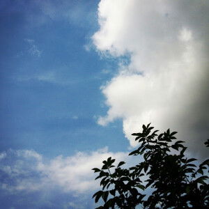 hanis fathiah profile icon