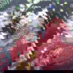 Rani Punkstreet profile icon