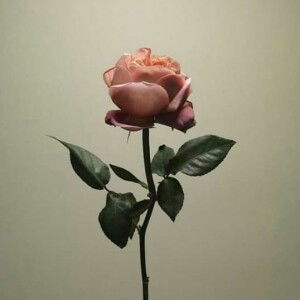 Isna Syarifatul profile icon