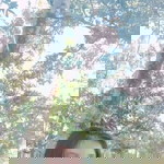 Rachelle Mendoza Austria profile icon