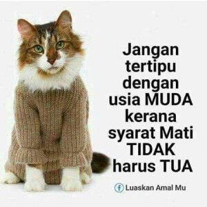 Ayu Utarie profile icon