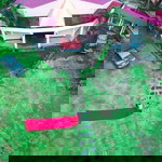 Terelle Donor profile icon