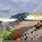 Thithaminp Fai profile icon