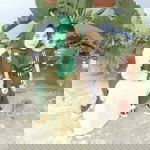 Linna Bundax Fadlan profile icon