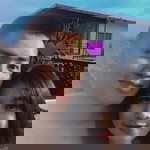 ฝ้าย'ย profile icon