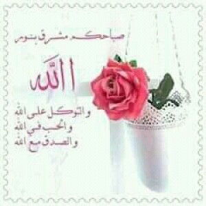 khairun nisa profile icon