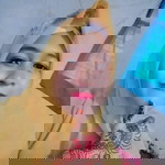 Fita seMlehoyy'MaleHoy profile icon