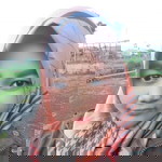 Sendy Tya Asmara profile icon