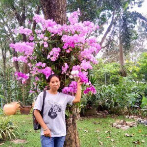 วราภร พาราชีวะ profile icon