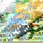 Siti Supartini profile icon