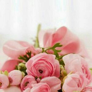 Sinta Ks profile icon