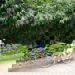 Nittaya Nareejan profile icon