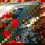 Eina Farina Shamsudin profile icon