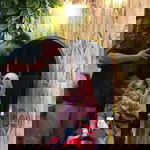 Yosie yasinta Sugana profile icon