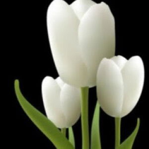 Dian Lutfita profile icon