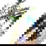 SKY Cimeng profile icon