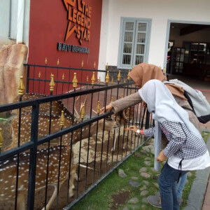 Cut Gesti Maria Ulfahmi profile icon