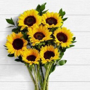 Filipina wife profile icon