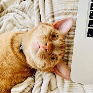 Suraida Daho profile icon