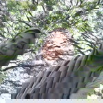Artelina Zakaria Adling profile icon