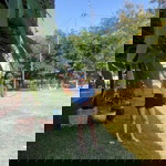 Jaaey Phakwalan profile icon