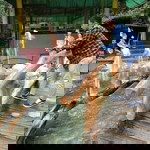 Suhendralang profile icon