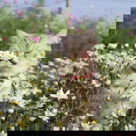 Jittra Chantanao profile icon