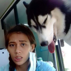 Piyapon Supap profile icon