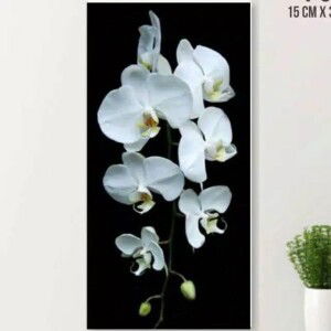 Iimhs Halimatusalim profile icon