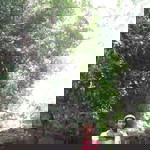 Boray PeAce profile icon