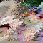 Jajuli Sansan profile icon